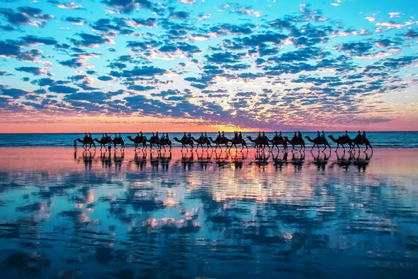 morocco beach retreat - 08 days/07 nights - from marrakech