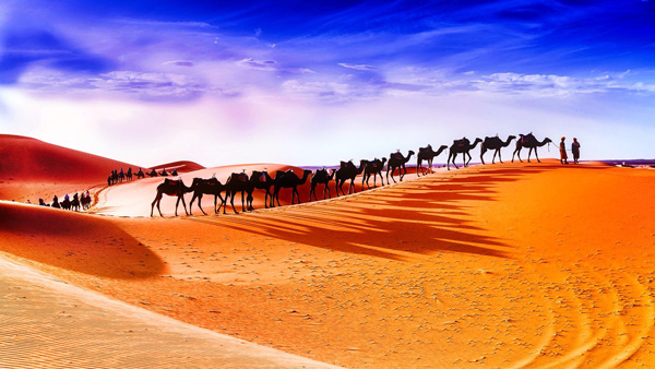 12 days new year imperial cities & desert tour from tangier